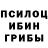 Псилоцибиновые грибы мицелий Phil Dobson